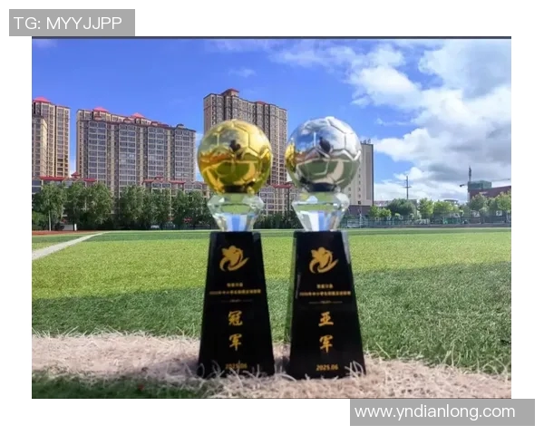 从小球场到世界舞台足球明星的奋斗与梦想成长之路