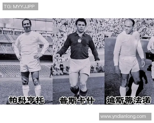 新一代足球明星崛起引领全球足球潮流与未来发展趋势