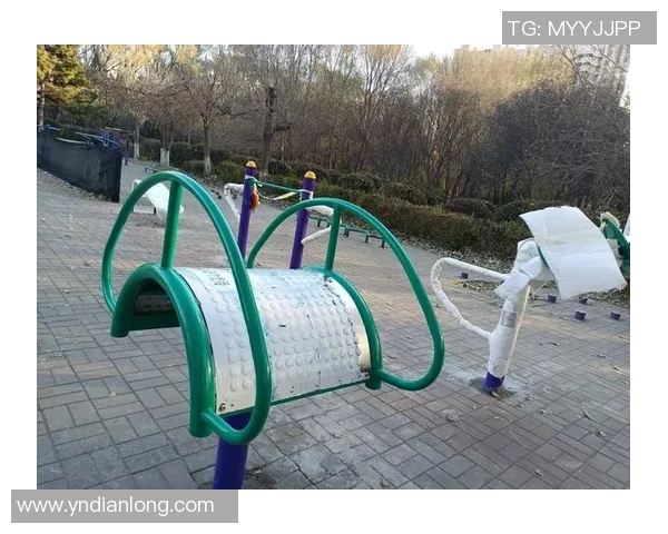 全面解析室外体育健身器材种类及其使用方法助你打造健康生活方式