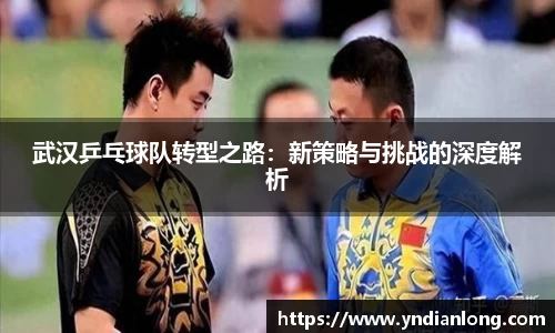 武汉乒乓球队转型之路：新策略与挑战的深度解析