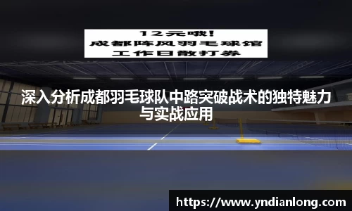 深入分析成都羽毛球队中路突破战术的独特魅力与实战应用