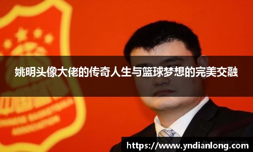 姚明头像大佬的传奇人生与篮球梦想的完美交融