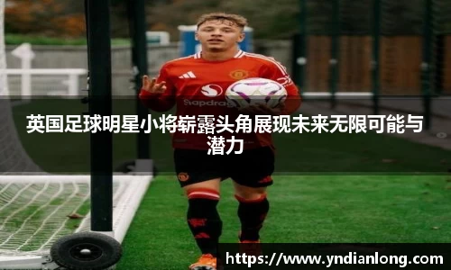 万博max官网