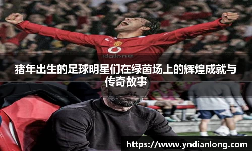 万博max官网