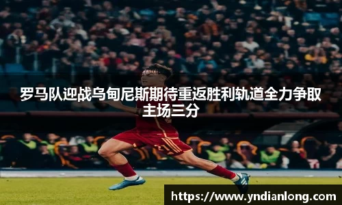 万博max官网
