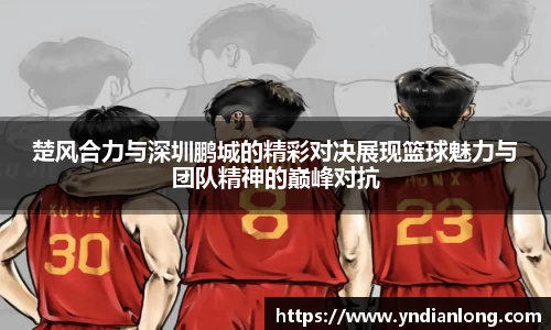万博max体育官方网站